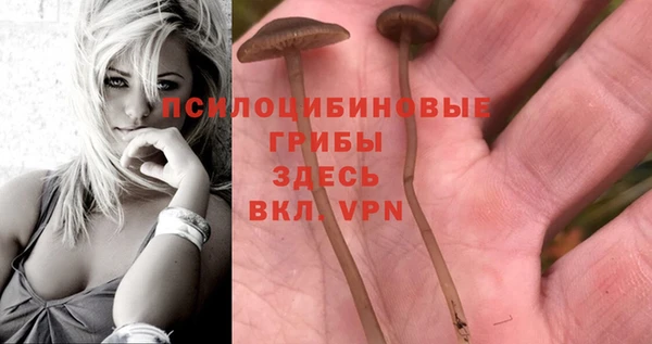 mix Бежецк