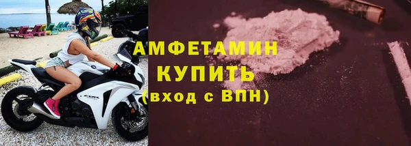 гидра Белая Холуница