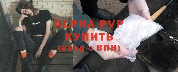 гидра Белая Холуница
