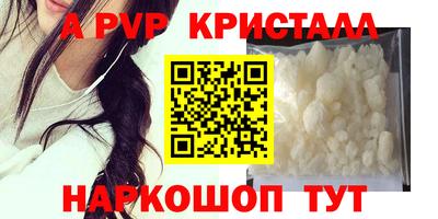 меф Кингисепп