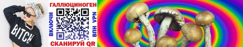 Галлюциногенные грибы Magic Shrooms  где можно купить наркотик  Котовск 