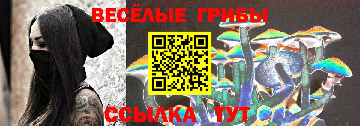 Галлюциногенные грибы Psilocybine cubensis  Псилоцибиновые грибы Magic Shrooms  Котовск 