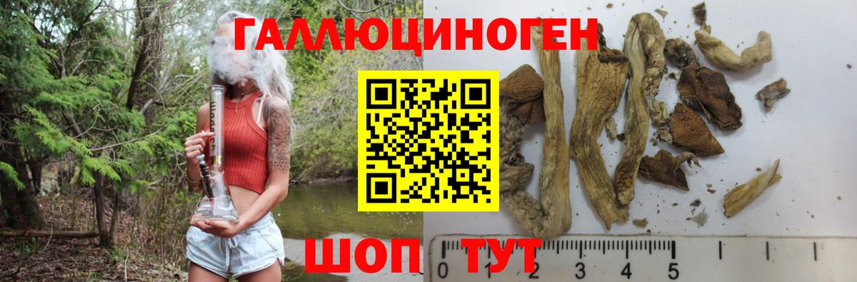 Котовск  Псилоцибиновые грибы MAGIC MUSHROOMS  Вход с VPN  Галлюциногенные грибы мухоморы 