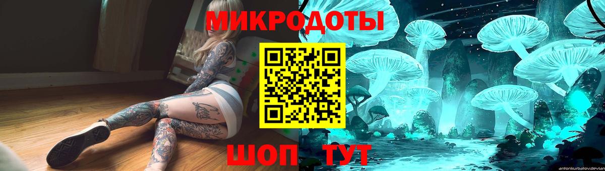 Псилоцибиновые грибы GOLDEN TEACHER Котовск